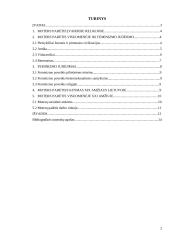 Moters padėties visuomenėje kitimas 2 puslapis