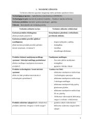 Sienų klojimas plytelėmis vertikaliomis perrištomis siūlėmis 3 puslapis