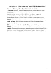 Sienų klojimas plytelėmis vertikaliomis perrištomis siūlėmis 5 puslapis