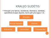 Kraujas. Kraujo sudėtis ir funkcijos  3 puslapis