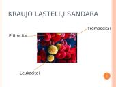 Kraujas. Kraujo sudėtis ir funkcijos  8 puslapis