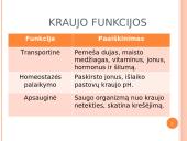 Kraujas. Kraujo sudėtis ir funkcijos  9 puslapis
