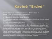 Kavinės "Erdvė" struktūrizuotas stebėjimas 3 puslapis