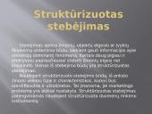 Kavinės "Erdvė" struktūrizuotas stebėjimas 4 puslapis