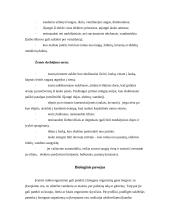 Gyventojų ir turto apsaugos organizavimas esant ekstremalioms situacijoms 12 puslapis