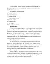 Gyventojų ir turto apsaugos organizavimas esant ekstremalioms situacijoms 4 puslapis