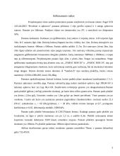 Pamatų statyba 2 puslapis