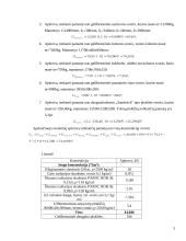 Pamatų statyba 4 puslapis