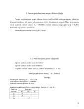 Pamatų statyba 9 puslapis