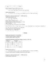 Pamatų statyba 10 puslapis