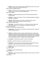 Literatūros sąvokos