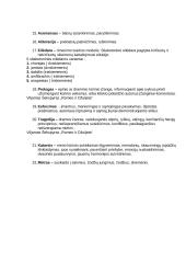 Literatūros sąvokos 2 puslapis