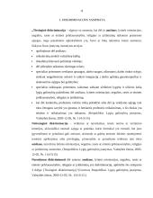 Diskriminacija ir nelygybė 6 puslapis