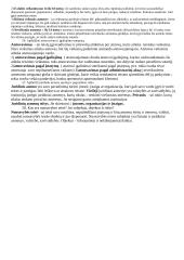 Teisės egzamino konspektas 9 puslapis