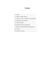 Elektos automobiliai