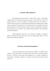 Elektos automobiliai 3 puslapis