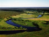 Lietuvos upės ir jų ekologinės problemos 12 puslapis