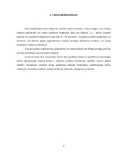 Bulvių laikymas 11 puslapis