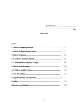 Bulvių laikymas 3 puslapis