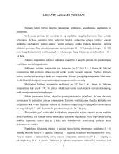 Bulvių laikymas 5 puslapis