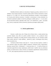 Bulvių laikymas 10 puslapis