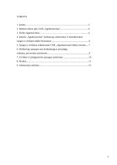 Žmogaus sauga UAB ,,Agrokoncernas" 2 puslapis