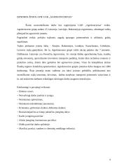 Žmogaus sauga UAB ,,Agrokoncernas" 4 puslapis