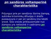 pn sandūra 18 puslapis