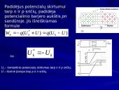 pn sandūra 20 puslapis