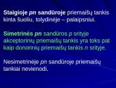pn sandūra 3 puslapis