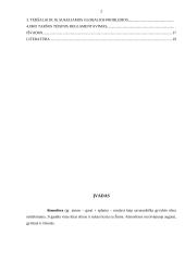 Atmosferos oro užterštumo būklė Lietuvoje 2 puslapis