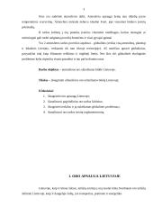 Atmosferos oro užterštumo būklė Lietuvoje 3 puslapis