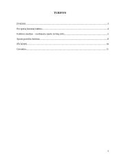 Sportas, kaip kultūros saviraiškos priemonė 2 puslapis