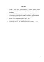 Sportas, kaip kultūros saviraiškos priemonė 11 puslapis