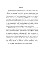 Sportas, kaip kultūros saviraiškos priemonė 3 puslapis