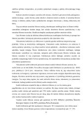 Energijos transformavimo mašinos. Kursinis darbas 11 puslapis