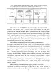 Energijos transformavimo mašinos. Kursinis darbas 10 puslapis