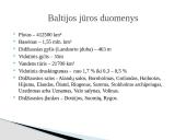 Baltijos jūra. Svarbiausi faktai 3 puslapis