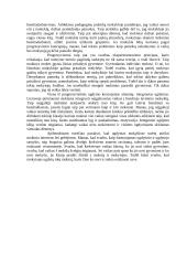 Progresyvizmas 2 puslapis