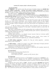 Baudžiamosios teisės samprata 2 puslapis