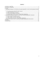 Gyventojų pajamų mokestis Lietuvoje ir Prancūzijoje 3 puslapis