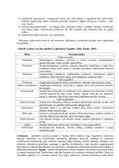 Vadovavimo principai 2 puslapis