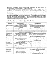 Vadovavimo principai 3 puslapis