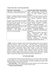 Vadovavimo principai 4 puslapis