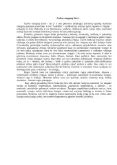 Atskirų centrinių nervų sistemos dalių funkcijos 4 puslapis