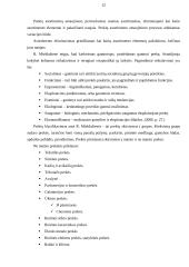 UAB ,,Officeday“ analizė 12 puslapis