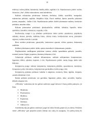 UAB ,,Officeday“ analizė 18 puslapis