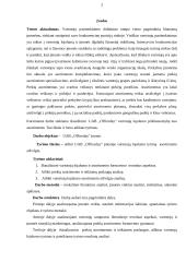 UAB ,,Officeday“ analizė 3 puslapis