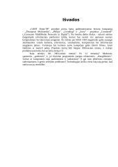 Informacijos technologijos ir telekomunikacija  13 puslapis