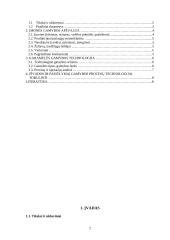 Karamelės gamybos technologijos analizė įmonėje UAB ,,RŪTA” 2 puslapis